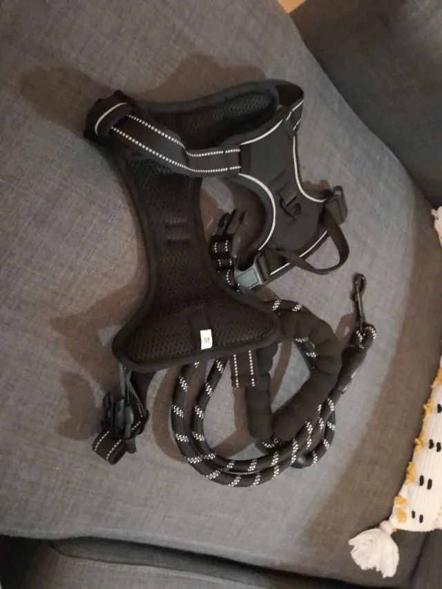 Arnés y correa para perro Talla M
