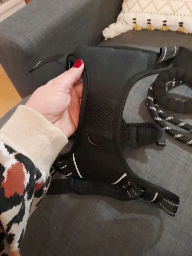 Arnés y correa para perro Talla M