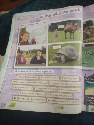 Oxford Rooftops 3. Class Book (Spanish Edition)