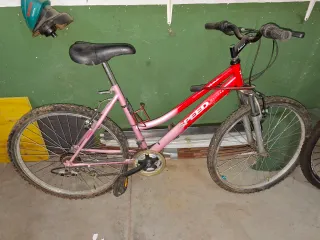 Bicicleta niña rosa SPEED