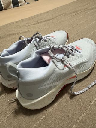 Nike Pegasus Trail Gore-Tex Nuevas