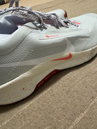 Nike Pegasus Trail Gore-Tex Nuevas