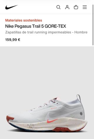 Nike Pegasus Trail Gore-Tex Nuevas