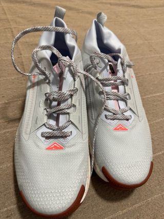 Nike Pegasus Trail Gore-Tex Nuevas