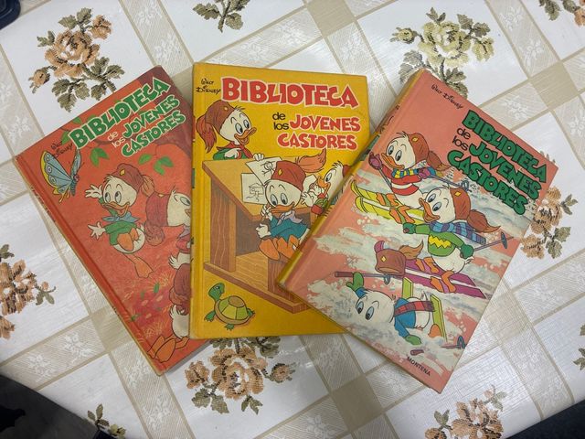 Los Jóvenes Castores