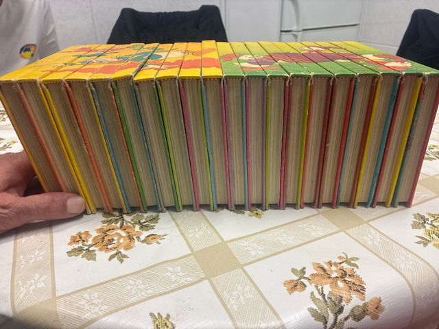 Los Jóvenes Castores