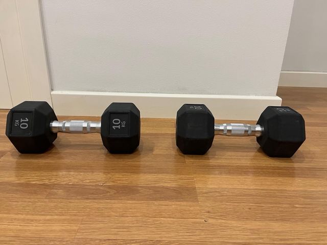 Mancuernas Hexagonales Technogym 10kg