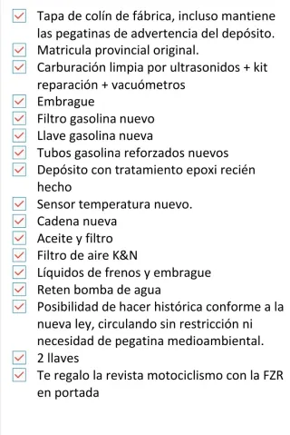 Yamaha FZR 1000 Genesis