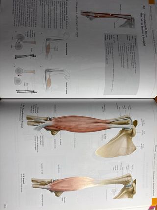 Texto y Atlas Anatomia tomos 1,2 y 3