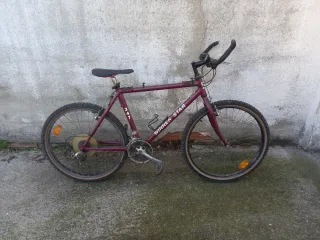 Bicicleta WINNER STAR granate