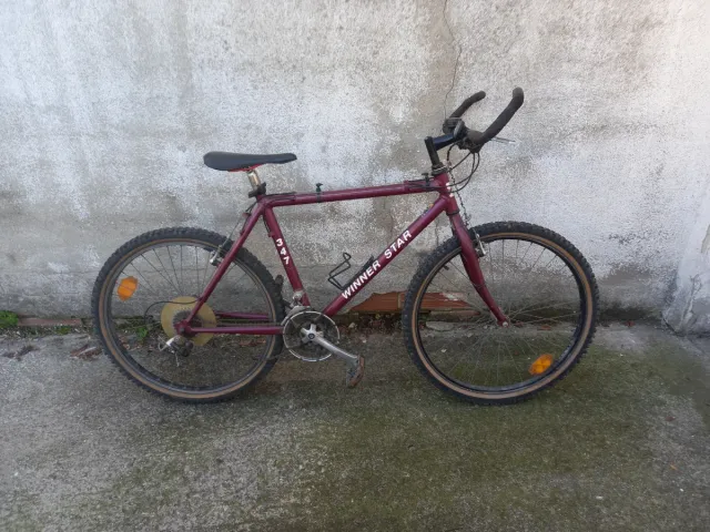 Bicicleta WINNER STAR granate