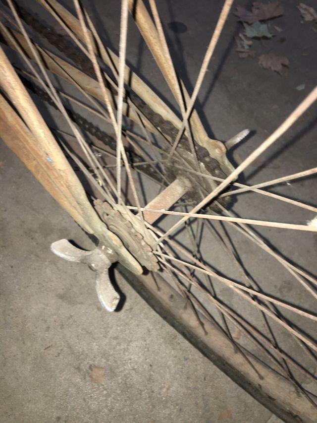 Bicicleta Antigua Paseo Amat