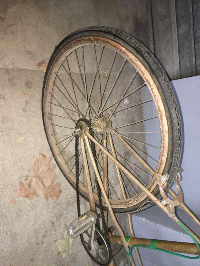 Bicicleta Antigua Paseo Amat