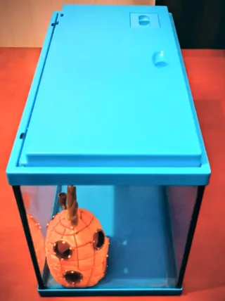 Acuario azul y transparente