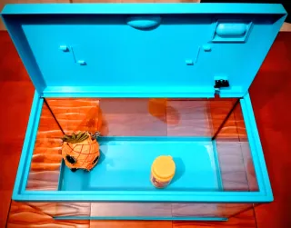 Acuario azul y transparente