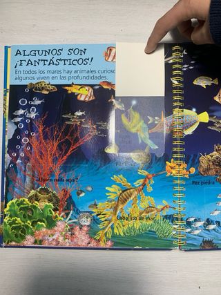 Pack de Libros y cuentos(escribirme para uno o más