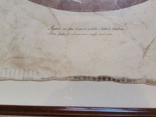 Pareja de cuadros con lámina de papel