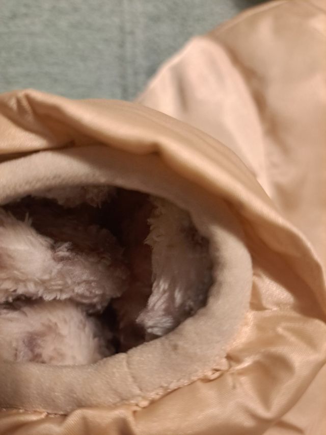 Abrigo niños GAP 12-18 meses