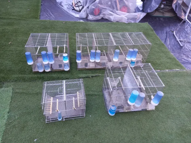 4 Jaulas Grandes para Pájaros