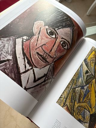 Pablo Picasso,su vida y  su obra. Medidas 36x27cm