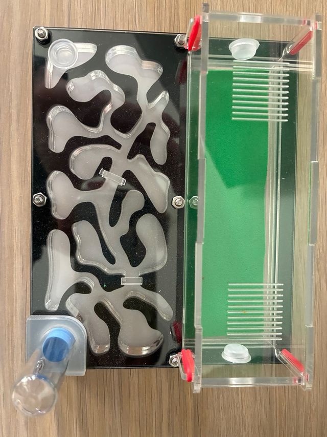 Hormiguero acrílico negro y transparente