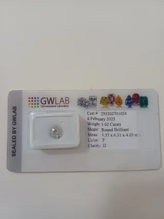 Diamante Certificato GWLAB 1.02 Carati