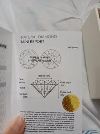 Diamante Certificato GWLAB 1.02 Carati