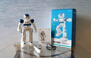 Robot Cady Wida