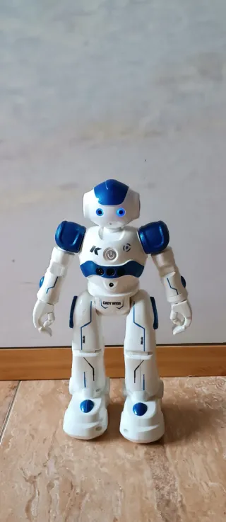Robot Cady Wida