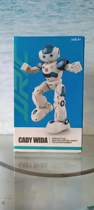 Robot Cady Wida
