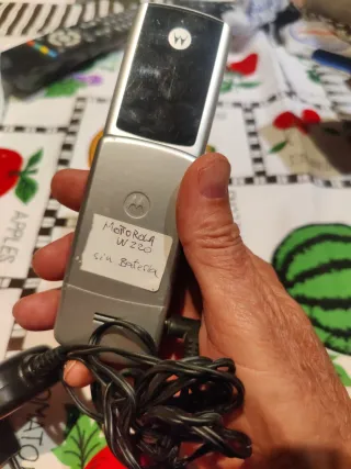 Teléfono Motorola W220 Vintage + Cargador