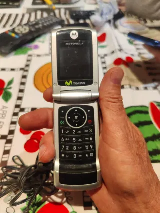 Teléfono Motorola W220 Vintage + Cargador