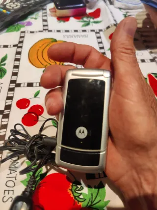 Teléfono Motorola W220 Vintage + Cargador