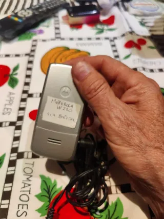 Teléfono Motorola W220 Vintage + Cargador