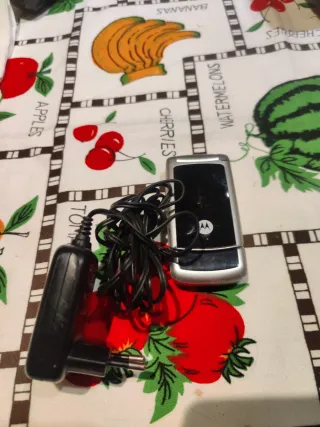 Teléfono Motorola W220 Vintage + Cargador