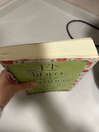 El libro de los veranos: Cada verano era perfec...