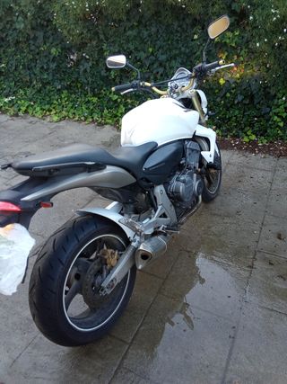 Honda  Hornet CB 600 2008