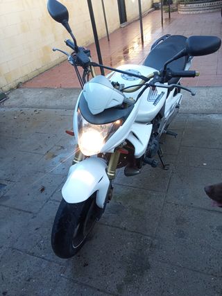 Honda  Hornet CB 600 2008