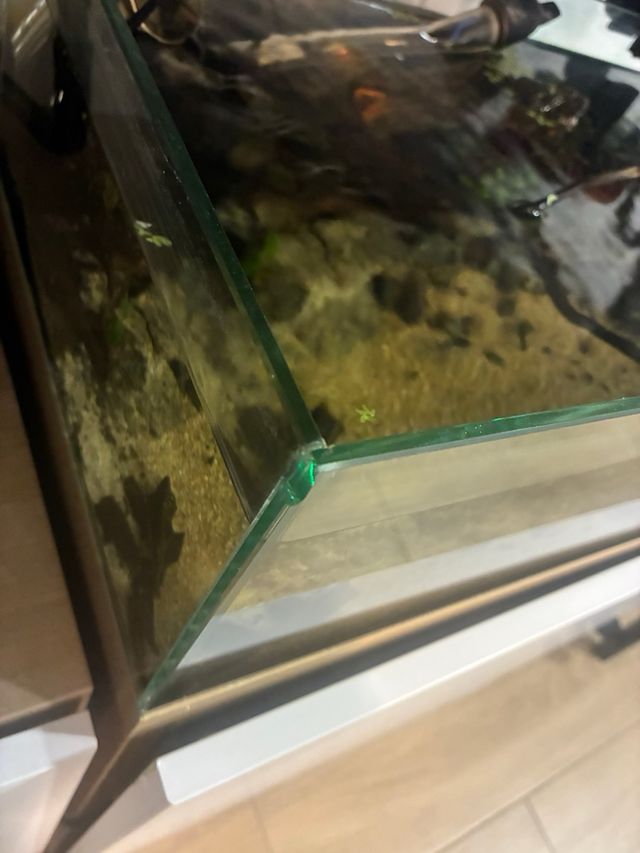 Acuario Shallow - Diseño Moderno