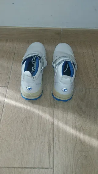 Zapatos de seguridad Robusta blancos y azules