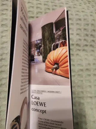 LOEWE "Mini book" con la historia resumen de Loewe