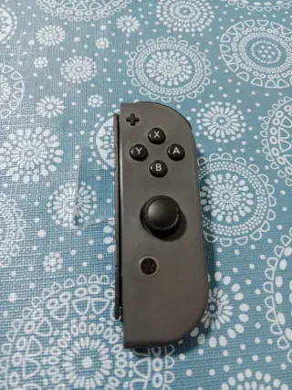 Nintendo switch y funda para la Nintendo