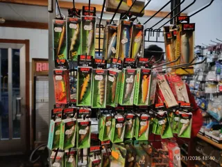 Señuelos de pesca variados