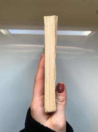 Libro de lectura “La piedra de toque”