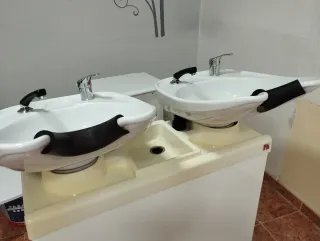 Lavacabeza doble profesional