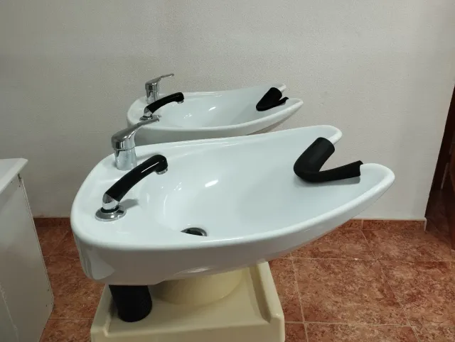 Lavacabeza doble profesional