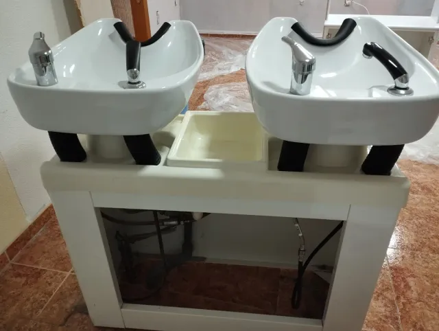 Lavacabeza doble profesional