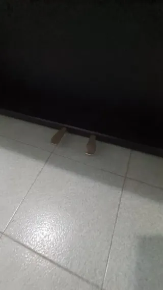 Piano Digital Casio AP-21