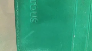 Cartera Tous Verde de piel