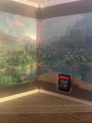 The Legend of Zelda: Echoes of Wisdom Switch